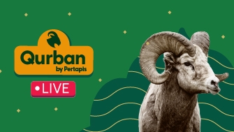 Qurban LIVE by Pertapis